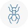 Ant Removals In Doncaster