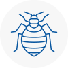 Bed Bug Extermination In Doncaster
