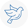 Bird Prevention Doncaster
