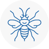 Doncaster Hornet Nest Removals