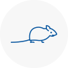 Mice Exterminators In Doncaster