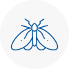 Moth Control Specialists In Doncaster