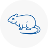 Rat Control Doncaster