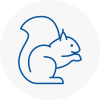 Doncaster Rodent Removals