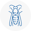 Doncaster Wasp Nest Removal